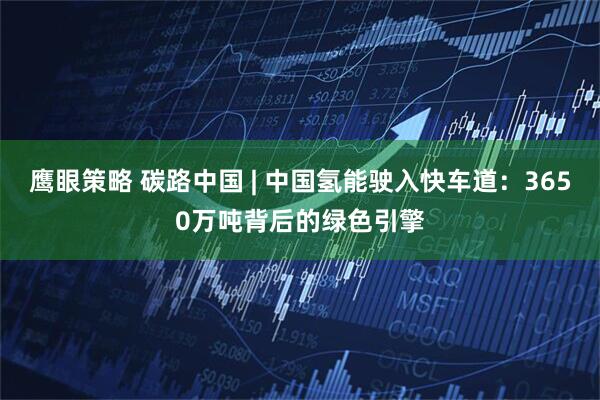 鹰眼策略 碳路中国 | 中国氢能驶入快车道：3650万吨背后的绿色引擎