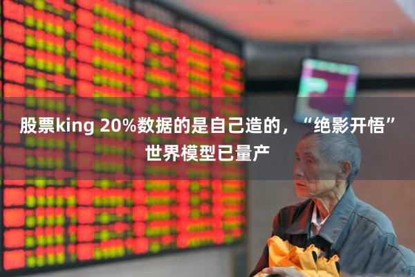 股票king 20%数据的是自己造的，“绝影开悟”世界模型已量产
