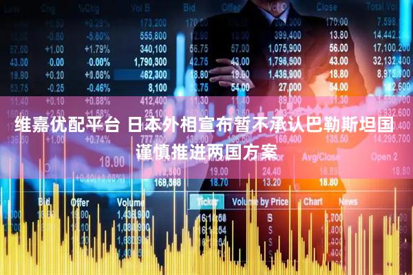 维嘉优配平台 日本外相宣布暂不承认巴勒斯坦国 谨慎推进两国方案