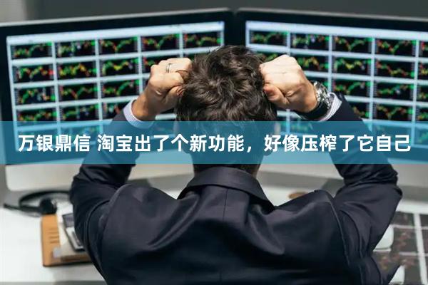 万银鼎信 淘宝出了个新功能,好像压榨了它自己